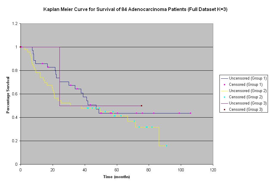 K=3 Kaplan Meier Curve