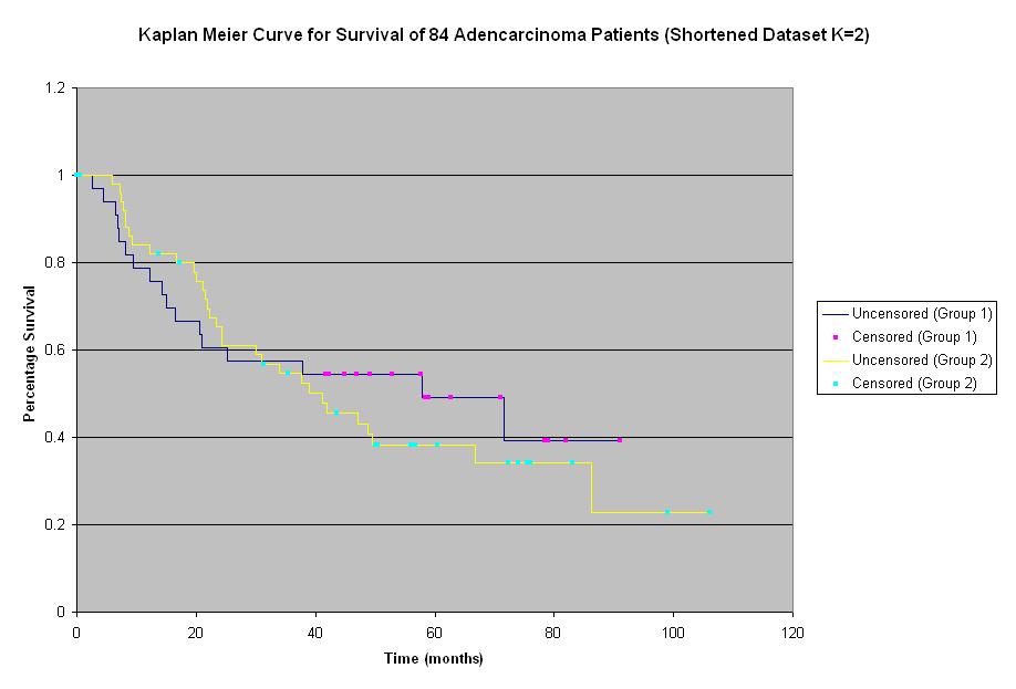 K=2 Kaplan Meier Curve