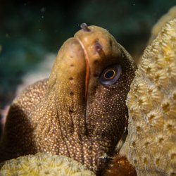 Bonaire 2013 web - 12