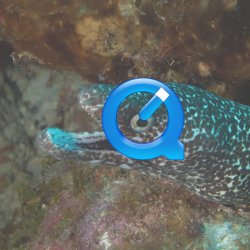 Bonaire 2013 web - 14