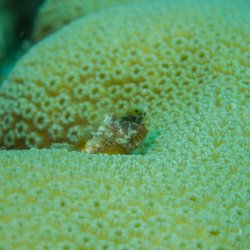 Bonaire 2013 web - 18