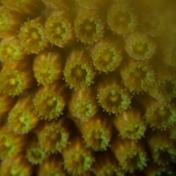 Bonaire 2013 web - 33