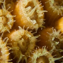 Bonaire 2013 web - 34