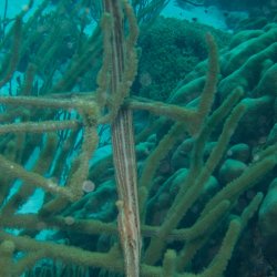 Bonaire 2013 web - 42