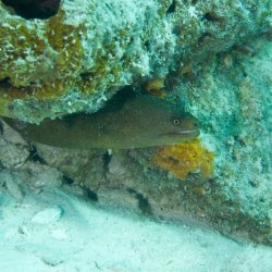 Bonaire 2013 web - 49