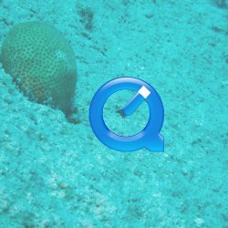 Bonaire 2013 web - 57_2