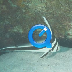 Bonaire 2013 web - 63