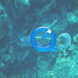 Bonaire 2013 web - 66