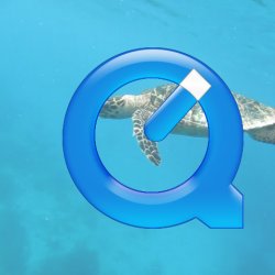 Bonaire 2013 web - 72