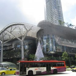 Indonesia 2010 - 010