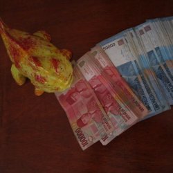 Indonesia 2010 - 011