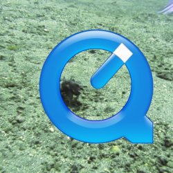 Indonesia 2010 - 041