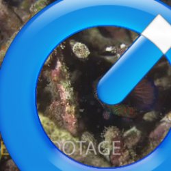 Indonesia 2010 - 059