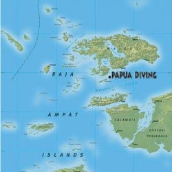 Indonesia 2010 - 109