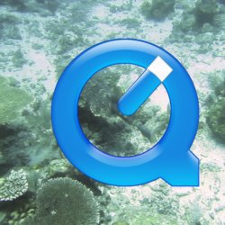 Indonesia 2010 - 145