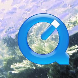 Indonesia 2010 - 168