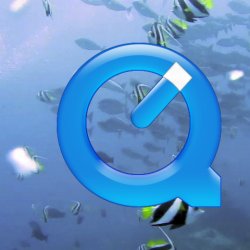 Indonesia 2010 - 182