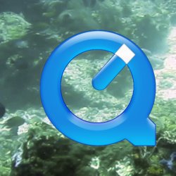 Indonesia 2010 - 197