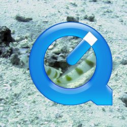 Indonesia 2010 - 233