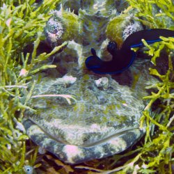 2012 Wakatobi UW - 021