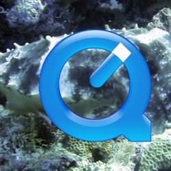 2012 Wakatobi UW - 022