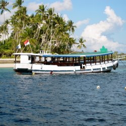 2012 Wakatobi UW - 029