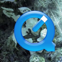 2012 Wakatobi UW - 035