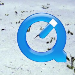 2012 Wakatobi UW - 038