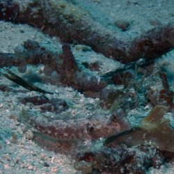 2012 Wakatobi UW - 064