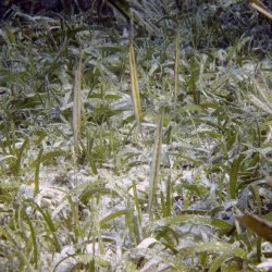 2012 Wakatobi UW - 077