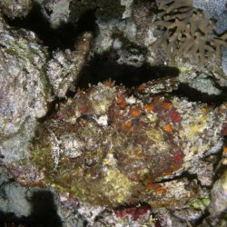 2012 Wakatobi UW - 079