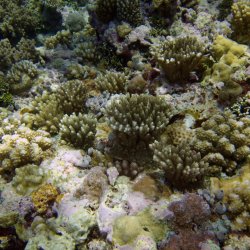 2012 Wakatobi UW - 100