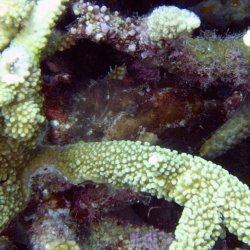 2012 Wakatobi UW - 106