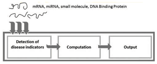 How a biomolecular computer works