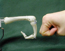 The Neurobotics lab is developing the most anatomically correct robotic hand system in the world - illustrated. Source: http://neurobotics.cs.washington.edu/projects.html