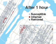 Illustration of the spread of a worm through Manhattan in several time slices.